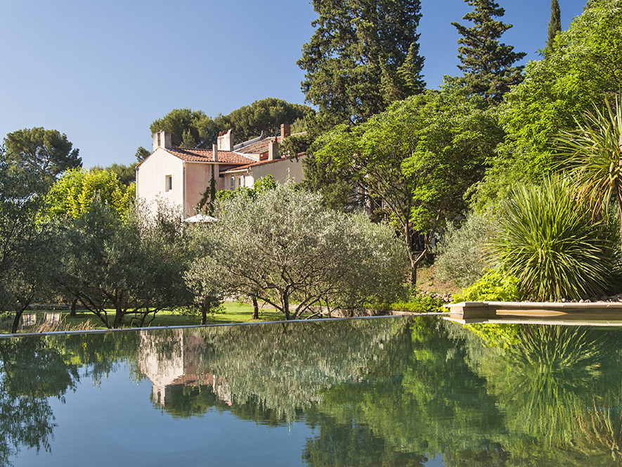 La piscine et l'oliveraie.